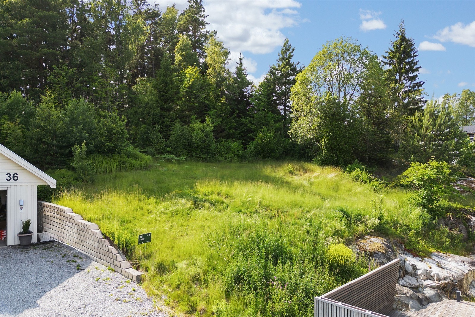 Fin beliggenhet mot skogen Galleribilde