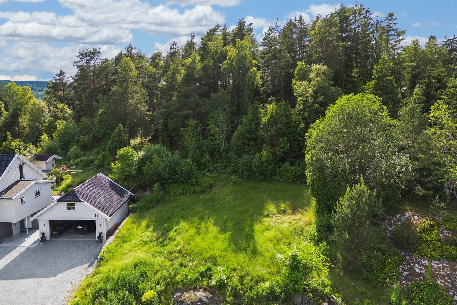 Fin beliggenhet mot skogen Galleribilde