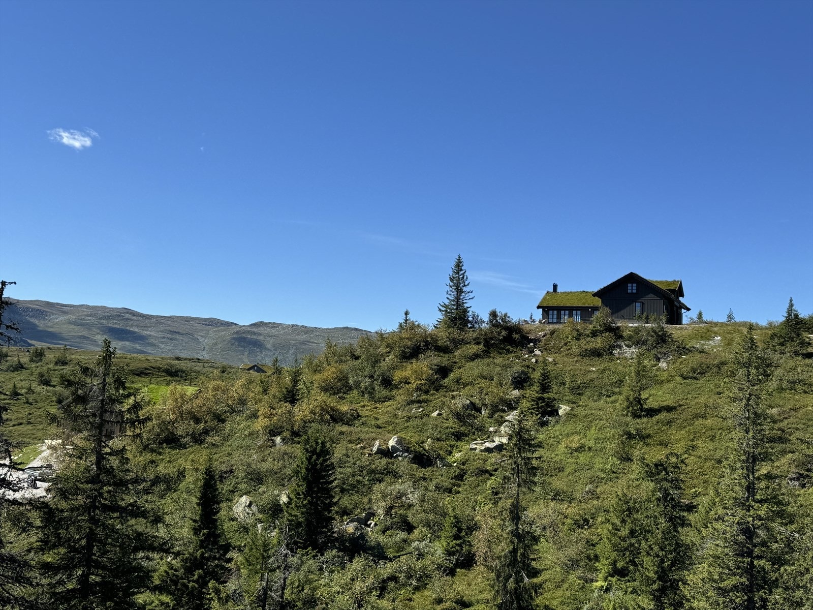 Hytta ligger på et høydedrag (sommerbilde) Galleribilde