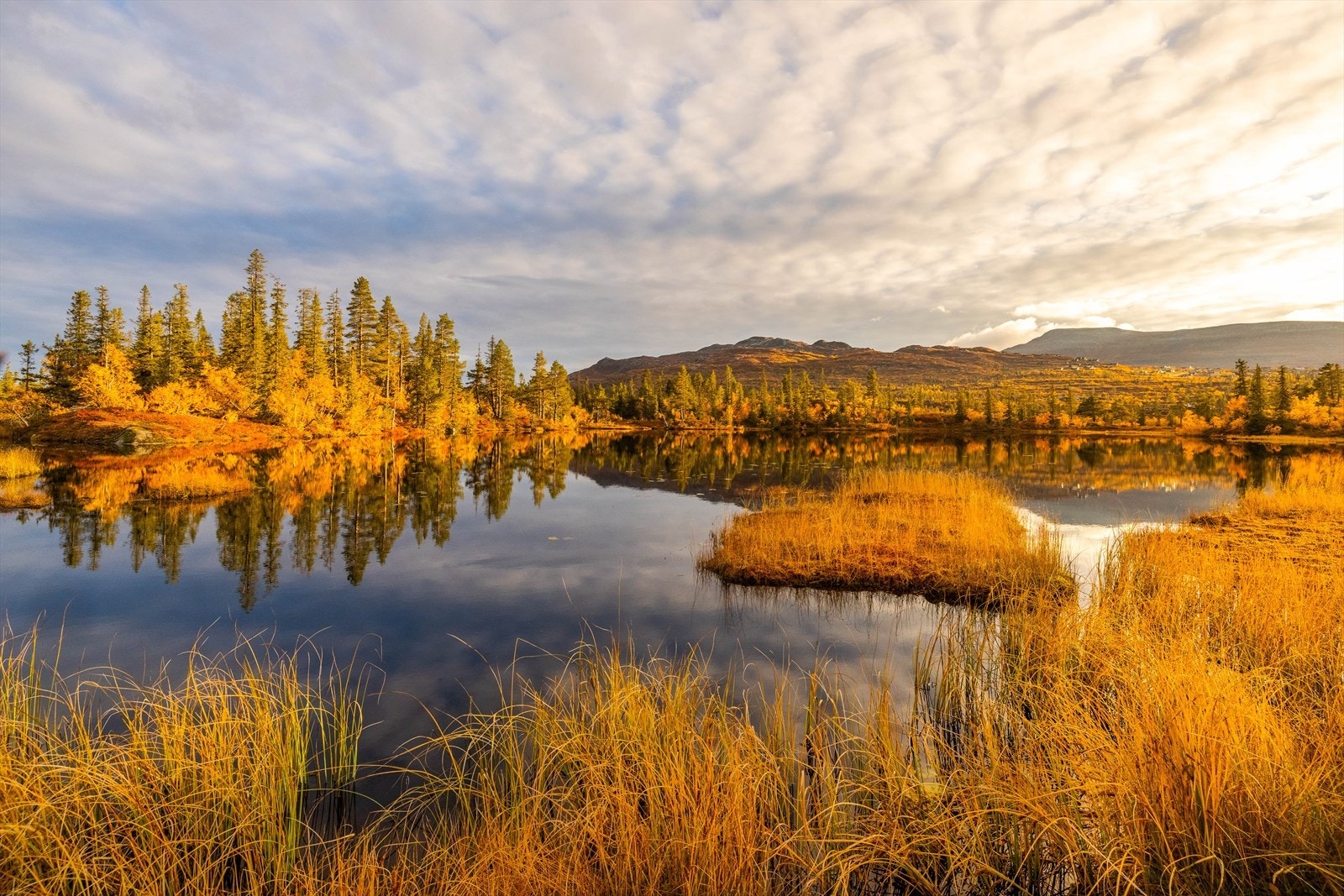 Høgevarde har flotte fiske- og bademuligheter i områdets mange idylliske vann, der det største vannet heter Fyrisjø og er over 1 km langt. Det er muligheter for jakt, da grunneierne har jaktrettigheter for utleie Galleribilde