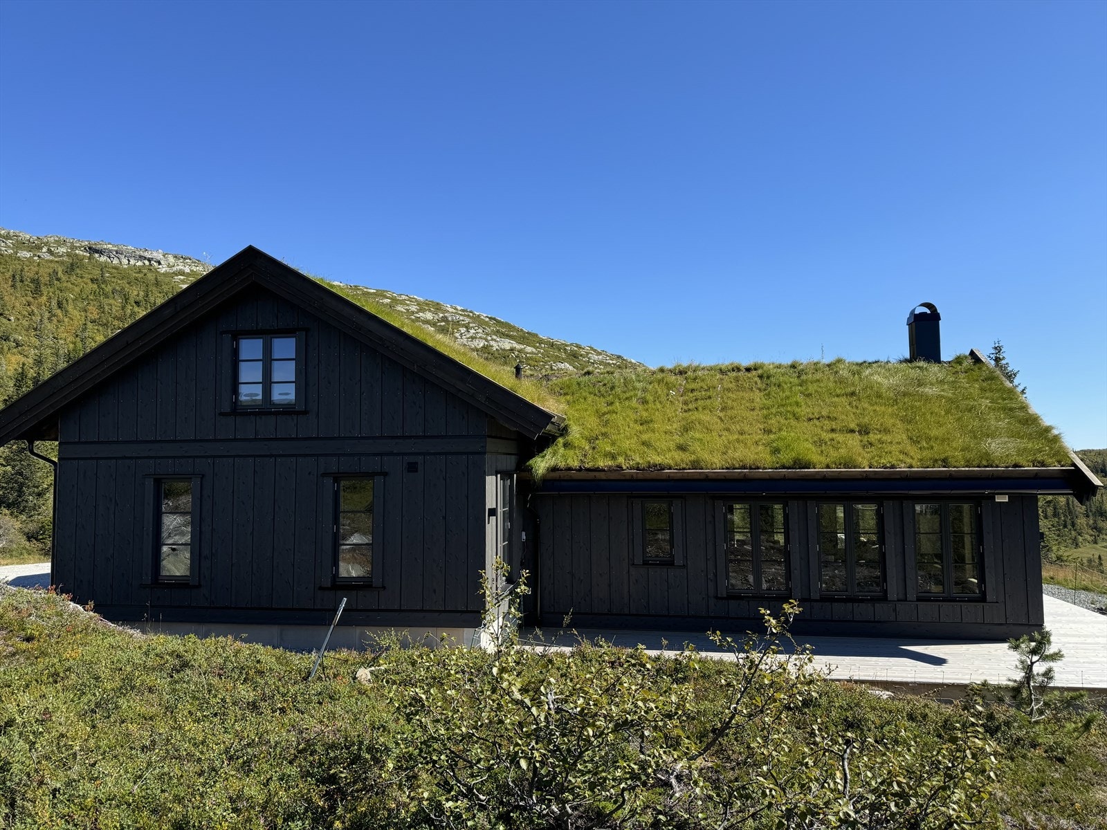 Sommerbilde Galleribilde