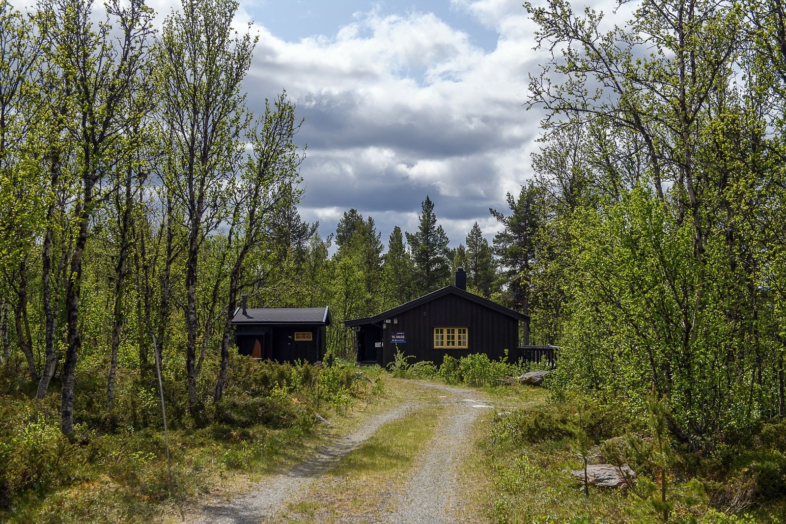 Bilvei helt frem Galleribilde