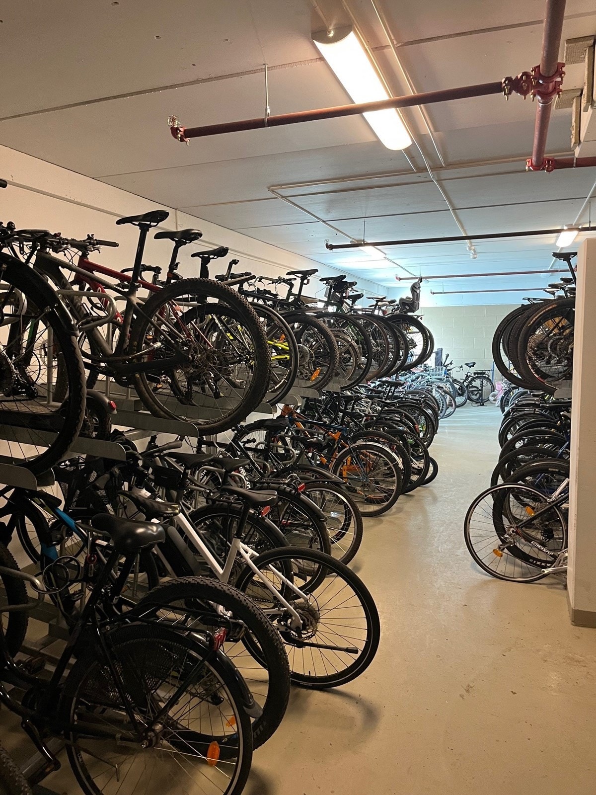 Felles sykkelrom i garasjekjelleren. Galleribilde