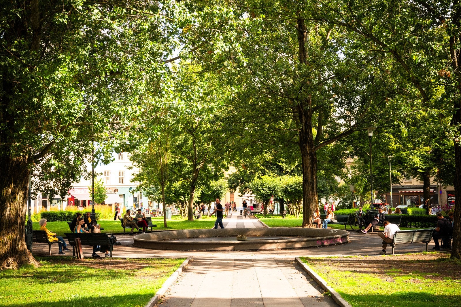 Nærområde Galleribilde