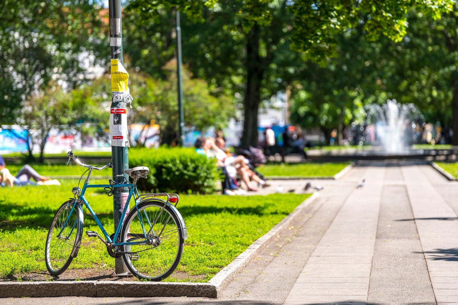 Nærområde Galleribilde