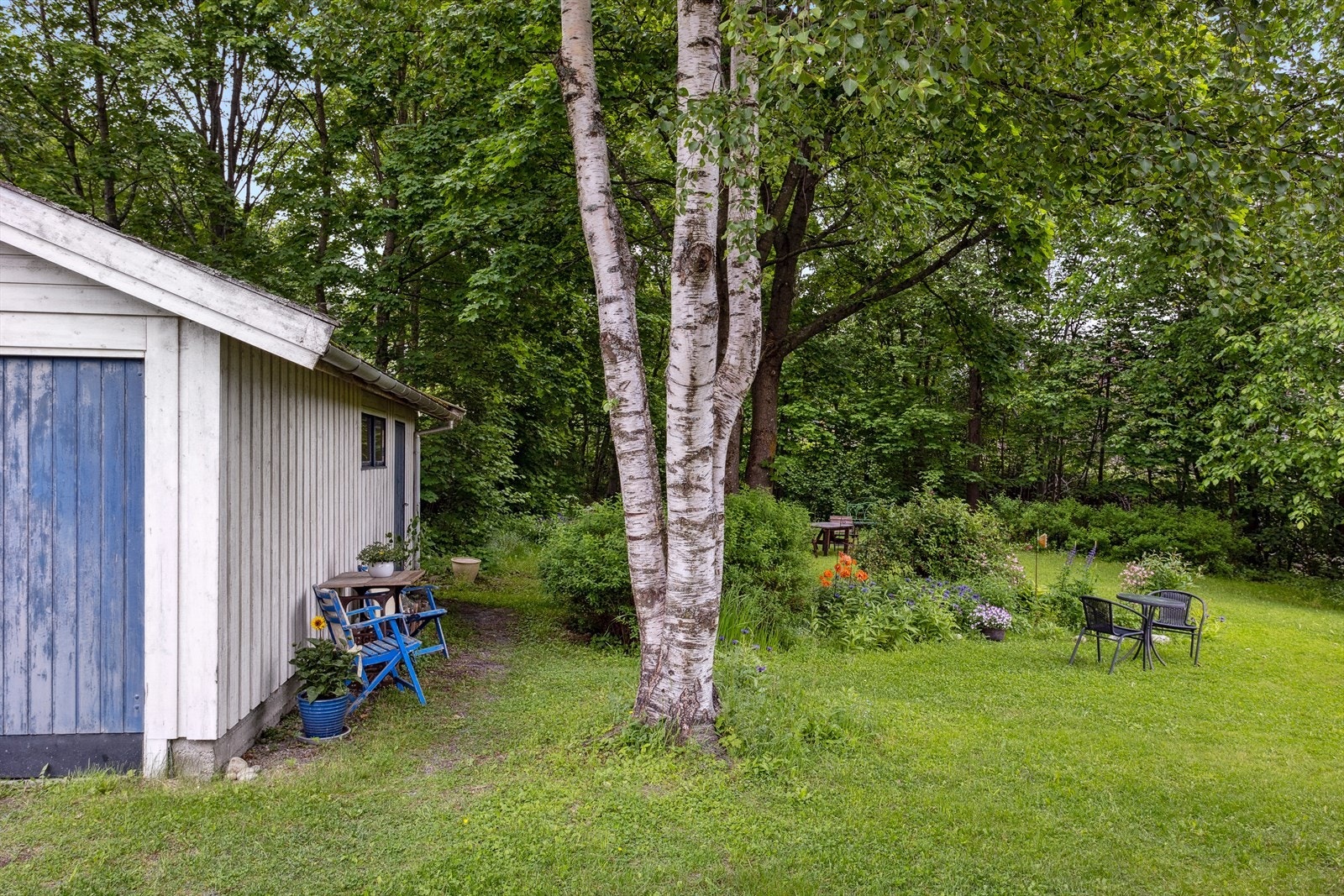 Hegen har plass til å dyrke egne grønnsaker, plass til drivhus og trampoline. Galleribilde