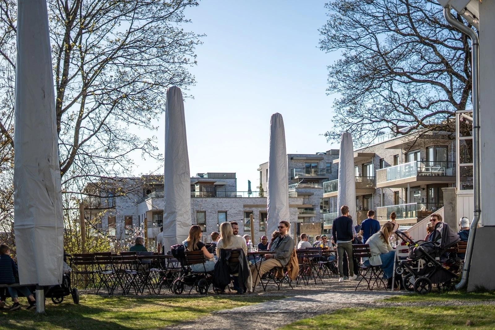 Koselig nabolag. Galleribilde