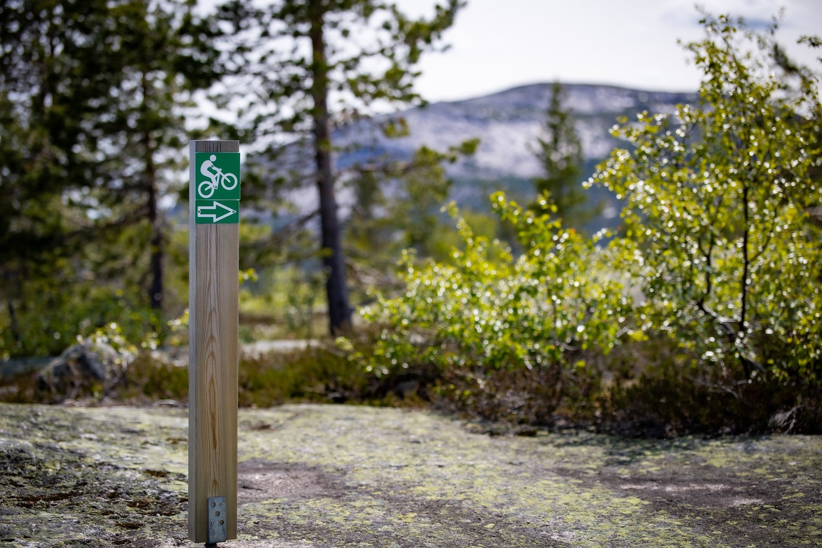 Det er også skiltet for de med terrengsykkler/ fatbike på toppen av Vrådal Galleribilde