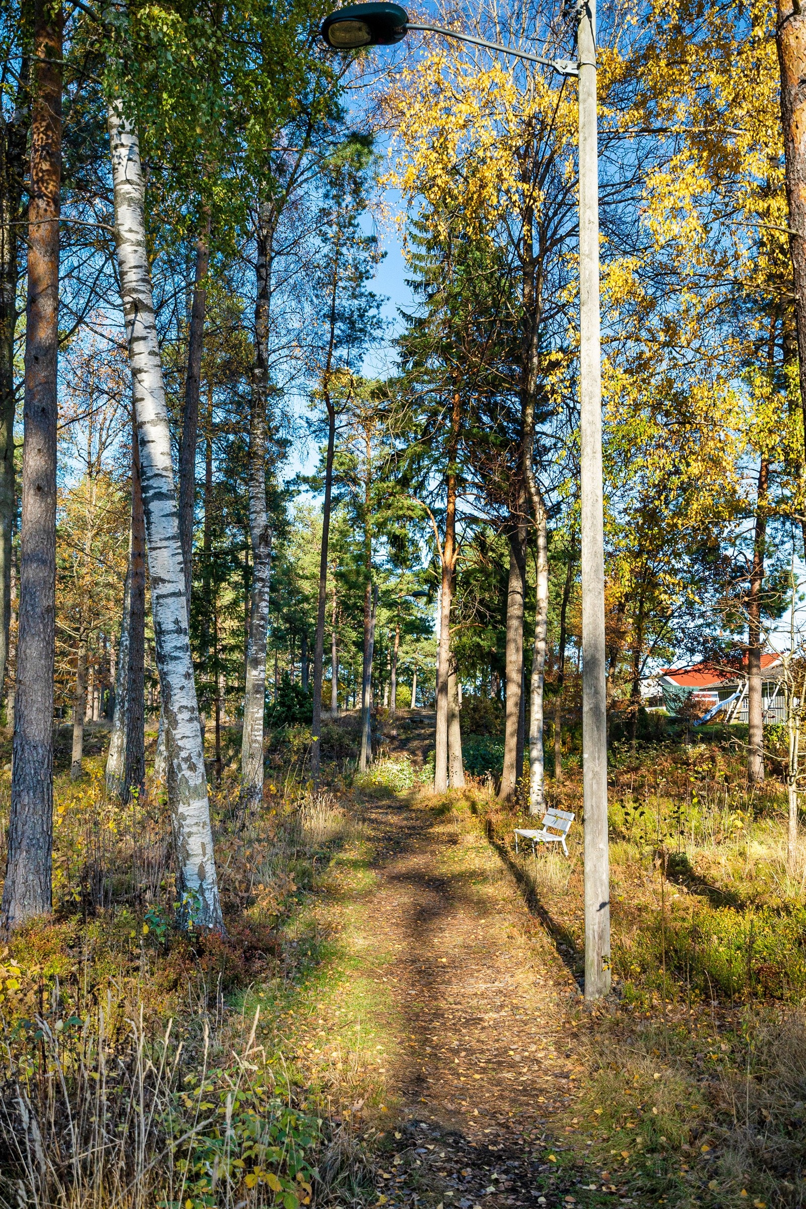Lysløypa Duken Galleribilde