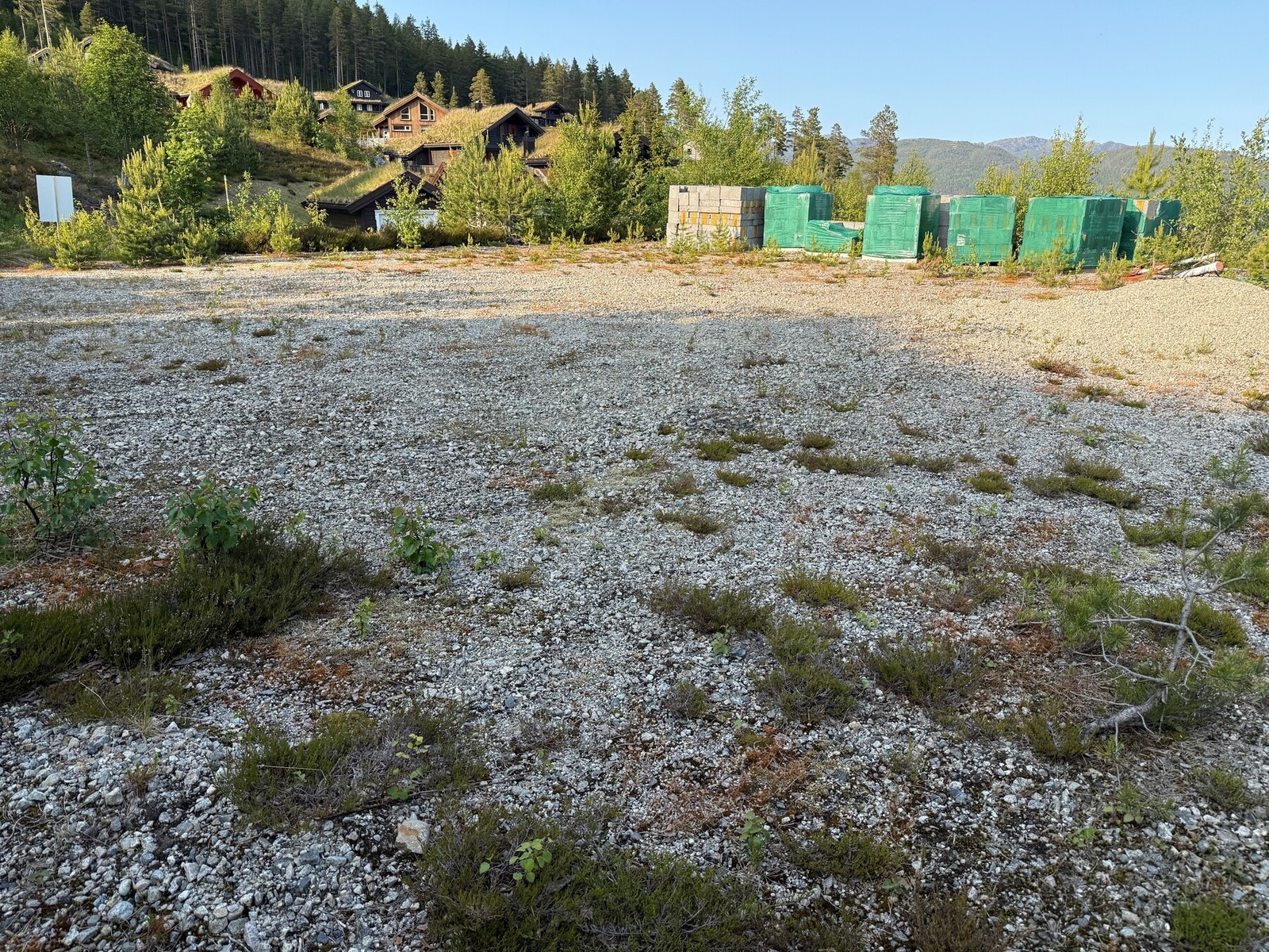 Del av tomten Galleribilde