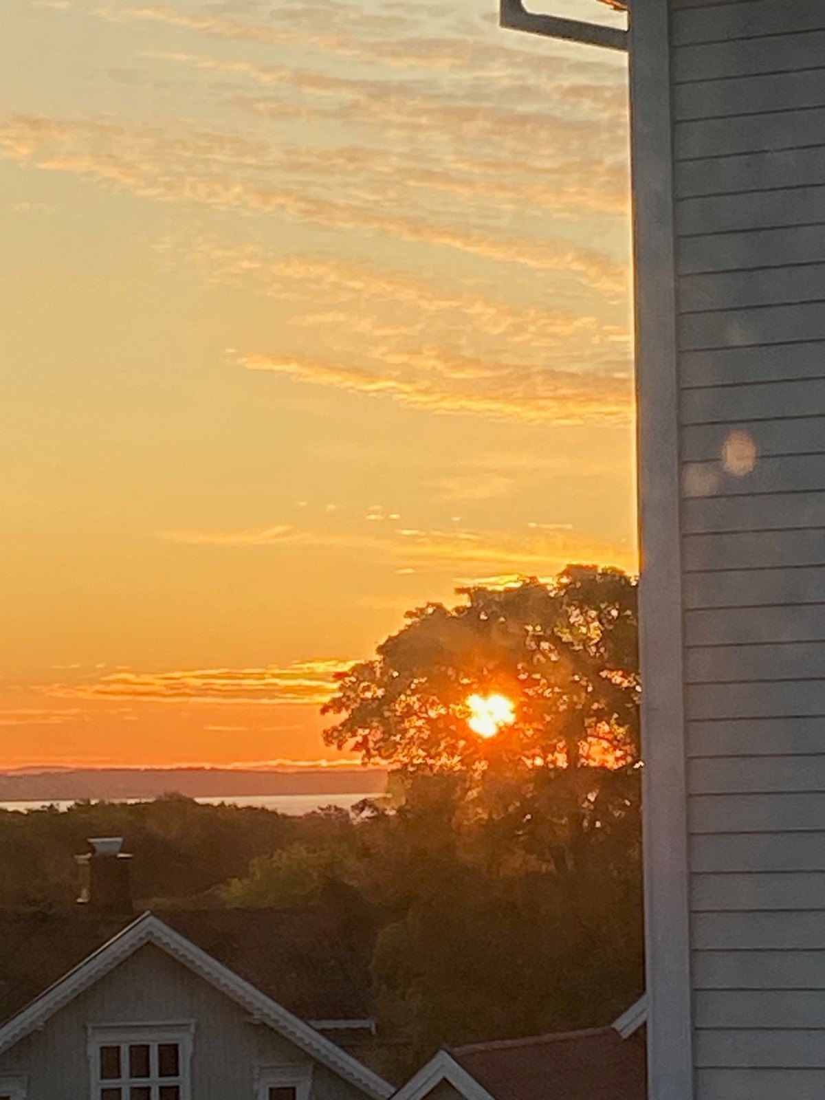 Soloppgang Galleribilde