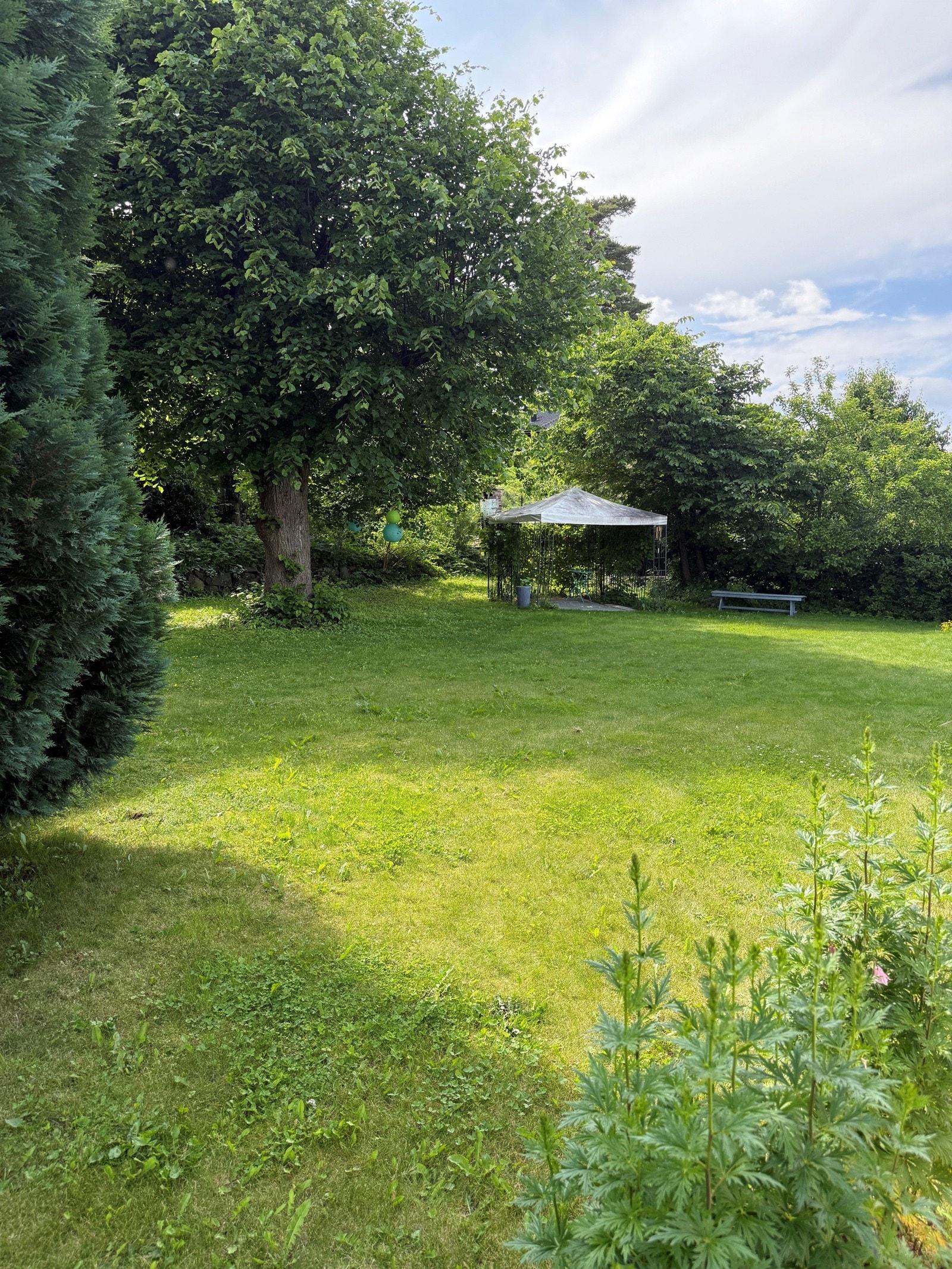 mulighet til å kjøpe en ekstra tomt med et sjarmerende anneks Galleribilde