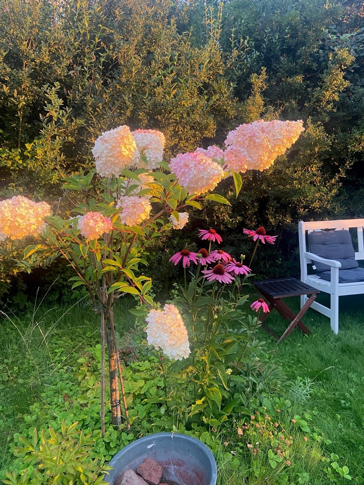 Selgers private bilder. Galleribilde