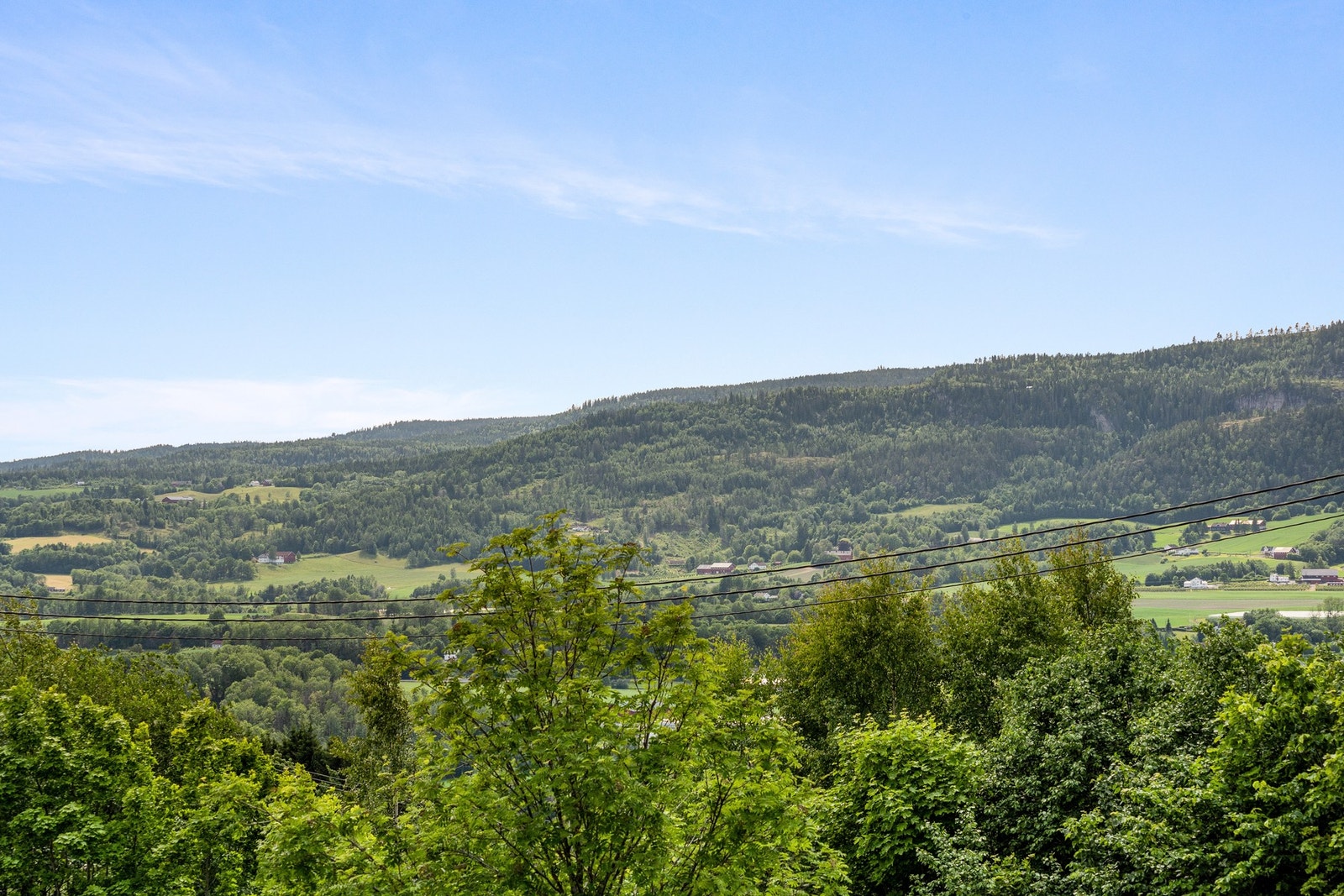 Naturskjønn utsikt fra terrassen. Galleribilde