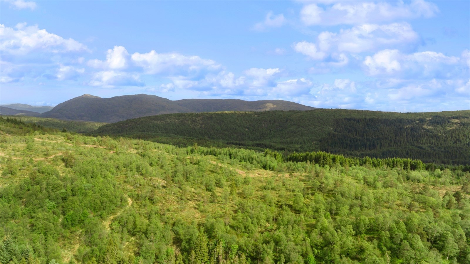 Løypene prepareres normalt hele vinteren, og går videre til Frotveit Galleribilde