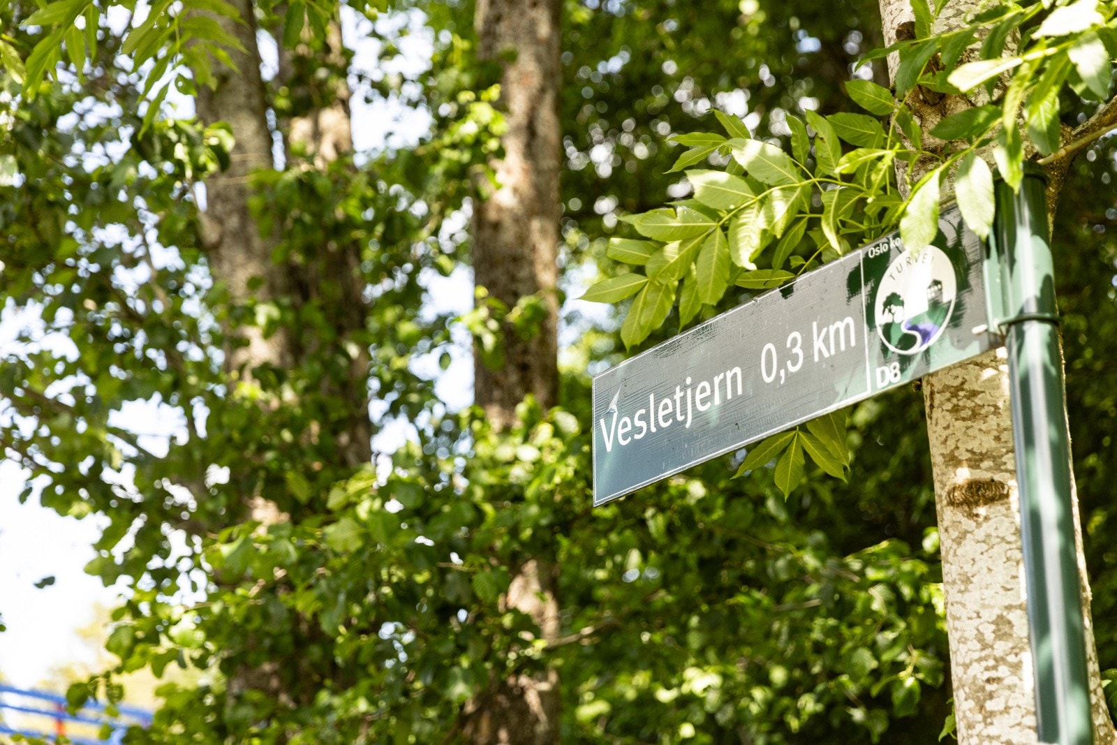 Nydelige turområder på Sandås / Rødtvedt. Galleribilde