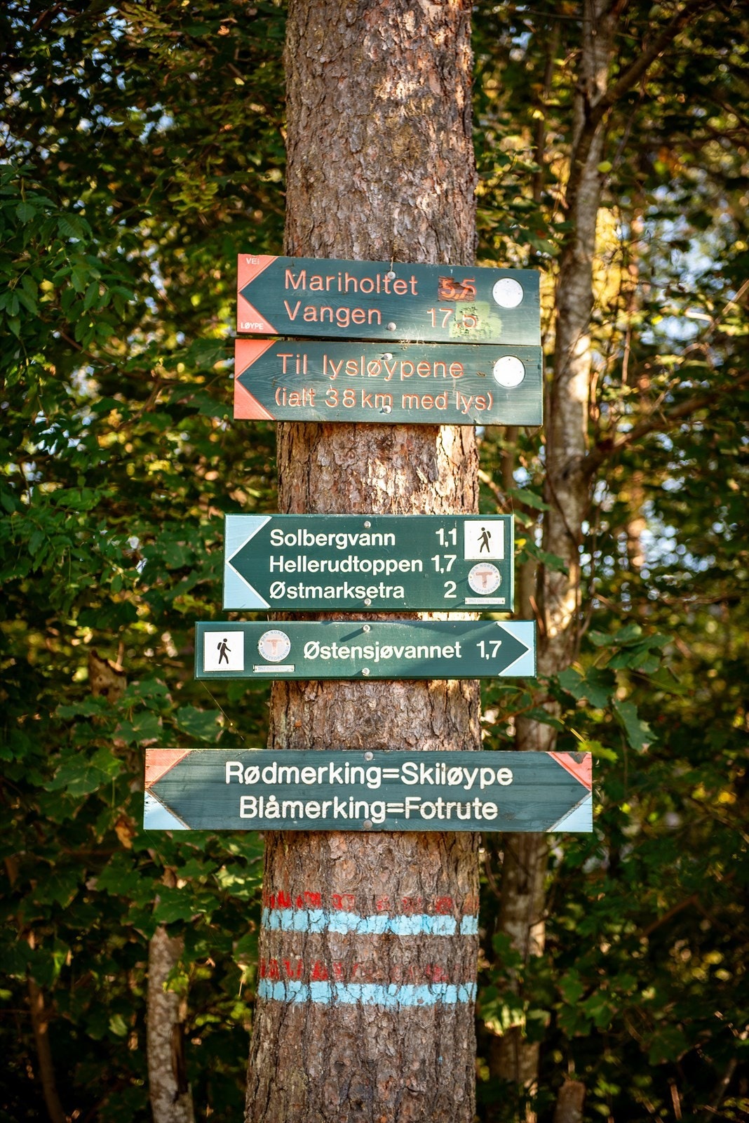 Østmarka byr på et mylder av turmuligheter, enten man er til fots, sykkel eller på ski, og er et populært utfartsområde med flere bade- og fiskevann, samt markastuer som byr på servering. Galleribilde