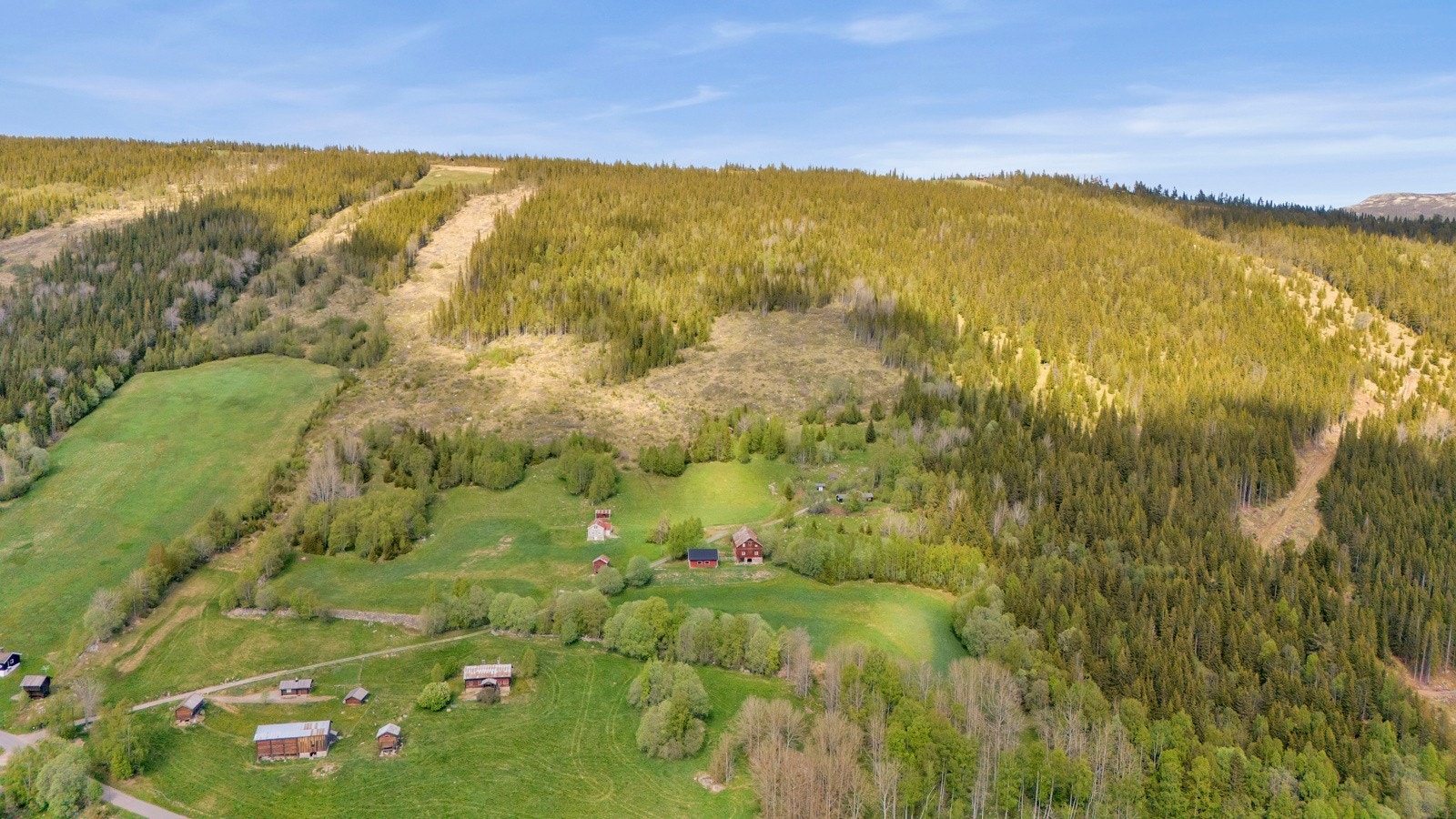 Vakkert tun i rolige omgivelser ? landlig beliggenhet med nærhet til skog og beiteområder. Galleribilde