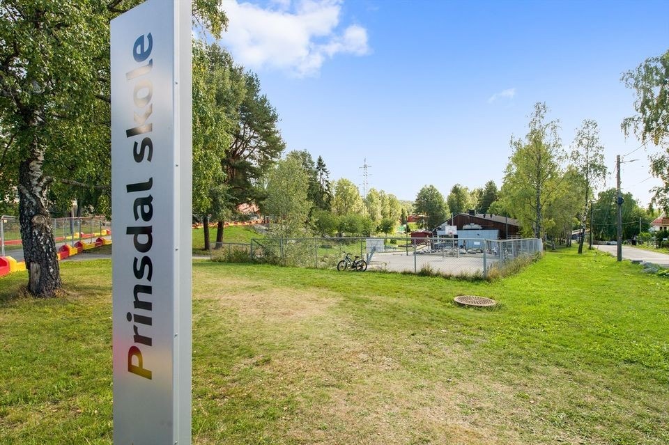 Bilfri skolevei! Galleribilde