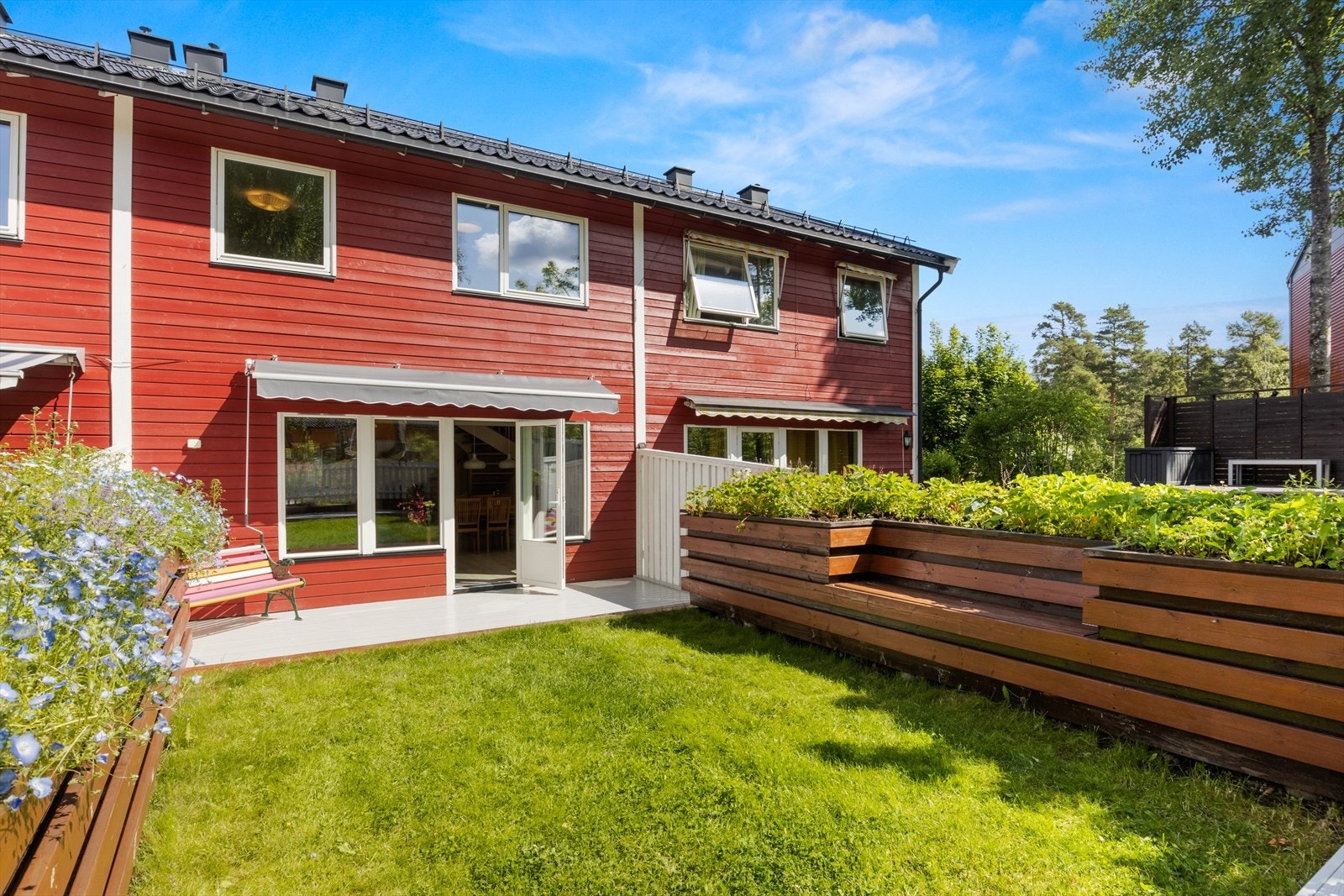 Gode solforhold og nydelig hage i grønne omgivelser. Galleribilde
