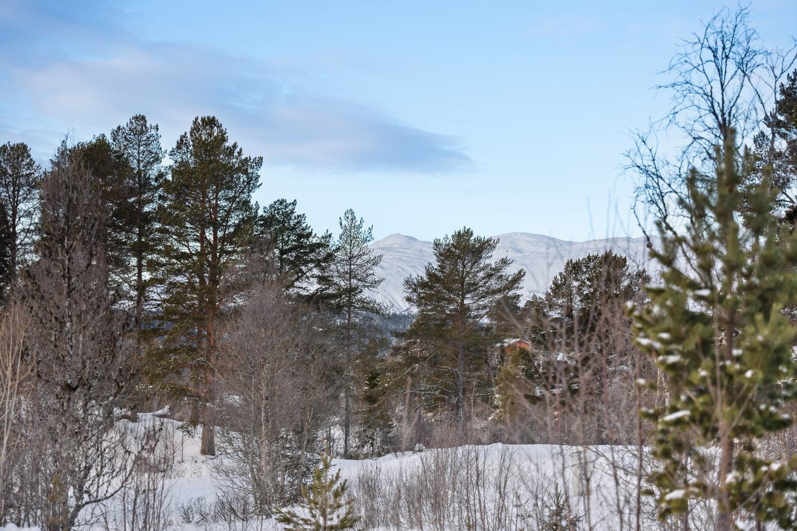 Fin utsikt til Raulandfjell Galleribilde