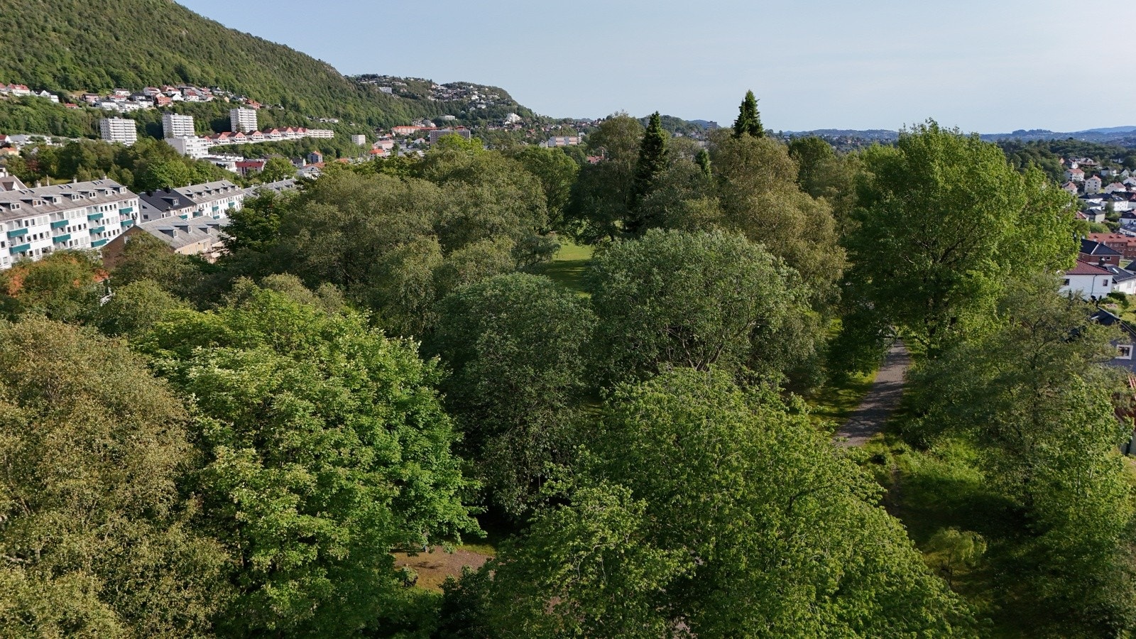 4 Galleribilde