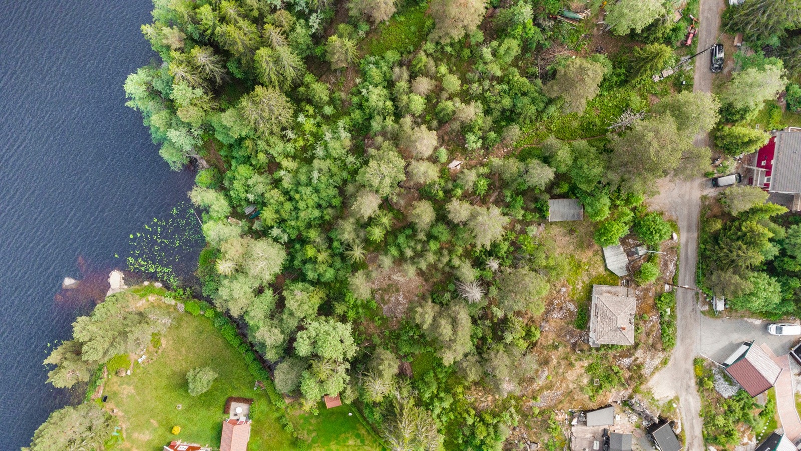 Tomten er på 2,8 mål og ligger i hellende terreng Galleribilde