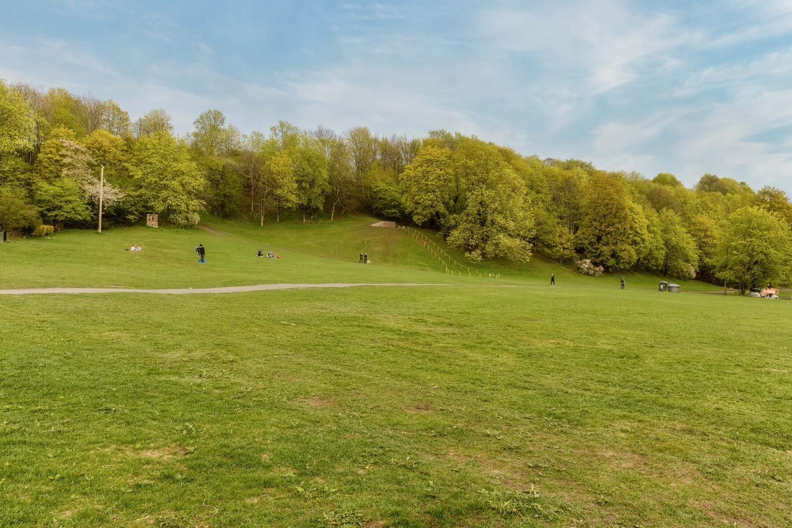 Ola Narr - Fra leiligheten har man kort gangavstand til flere parkområder. Galleribilde
