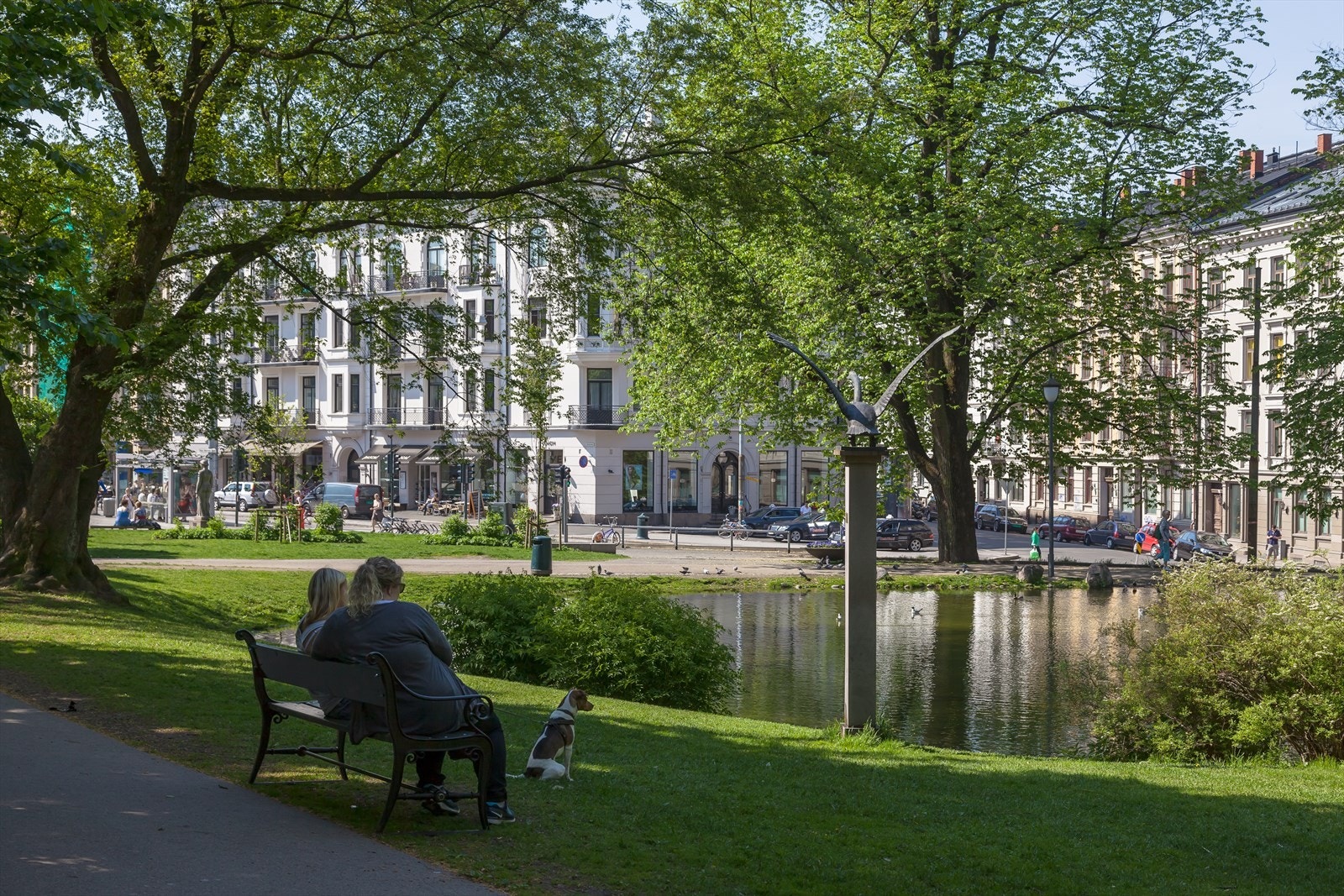 Nærområde - St. Hanshaugen. Galleribilde