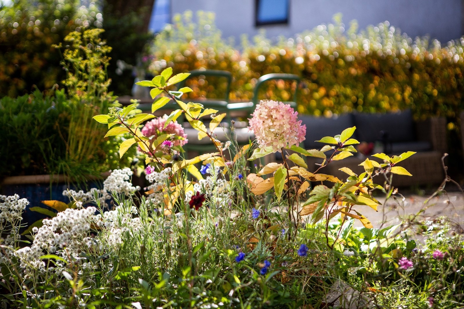 Nydelig beplantning som kommer ordentlig til sin rett på vår- og sommerstid. Galleribilde