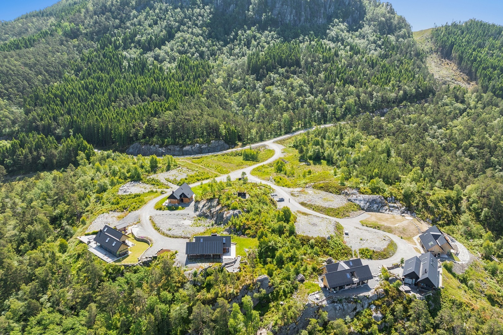 Bjørkåsen Panorama Galleribilde