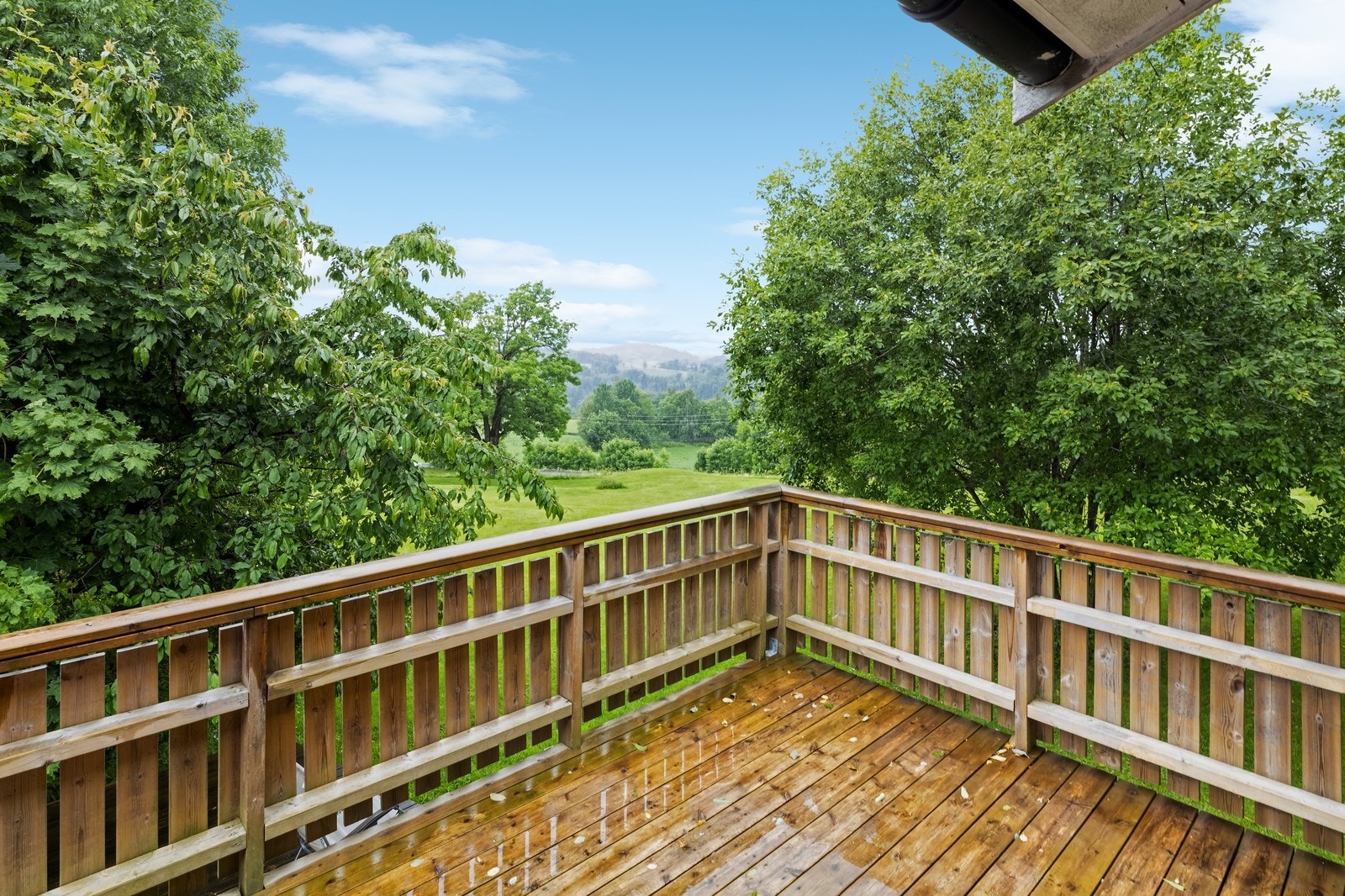 Utsikten fra terrassen er vakker og frodig. Galleribilde