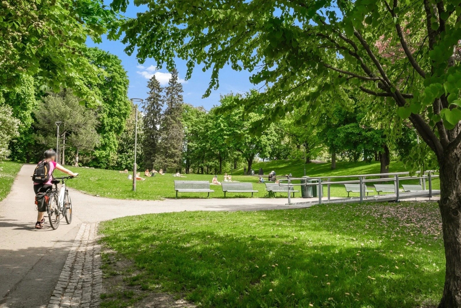 Følg flotte turområde langs Akerselven til byen eller mot Frysja. Galleribilde