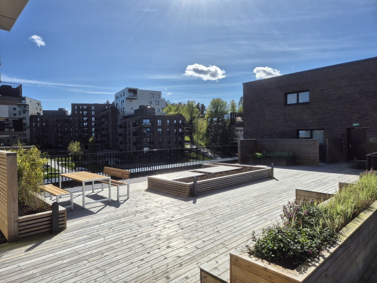 Felles takterrasse med sittemøblement og plantekasser. Her kan solen nytes hele dagen. Galleribilde