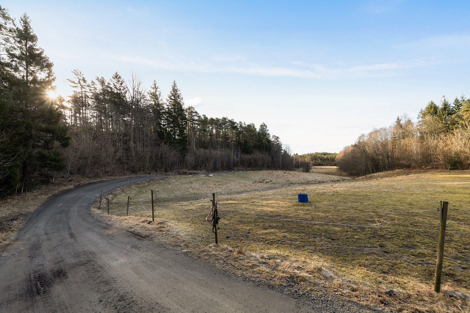 Adkomstvei fra Tangvallveien, med landlige omgivelser. Galleribilde