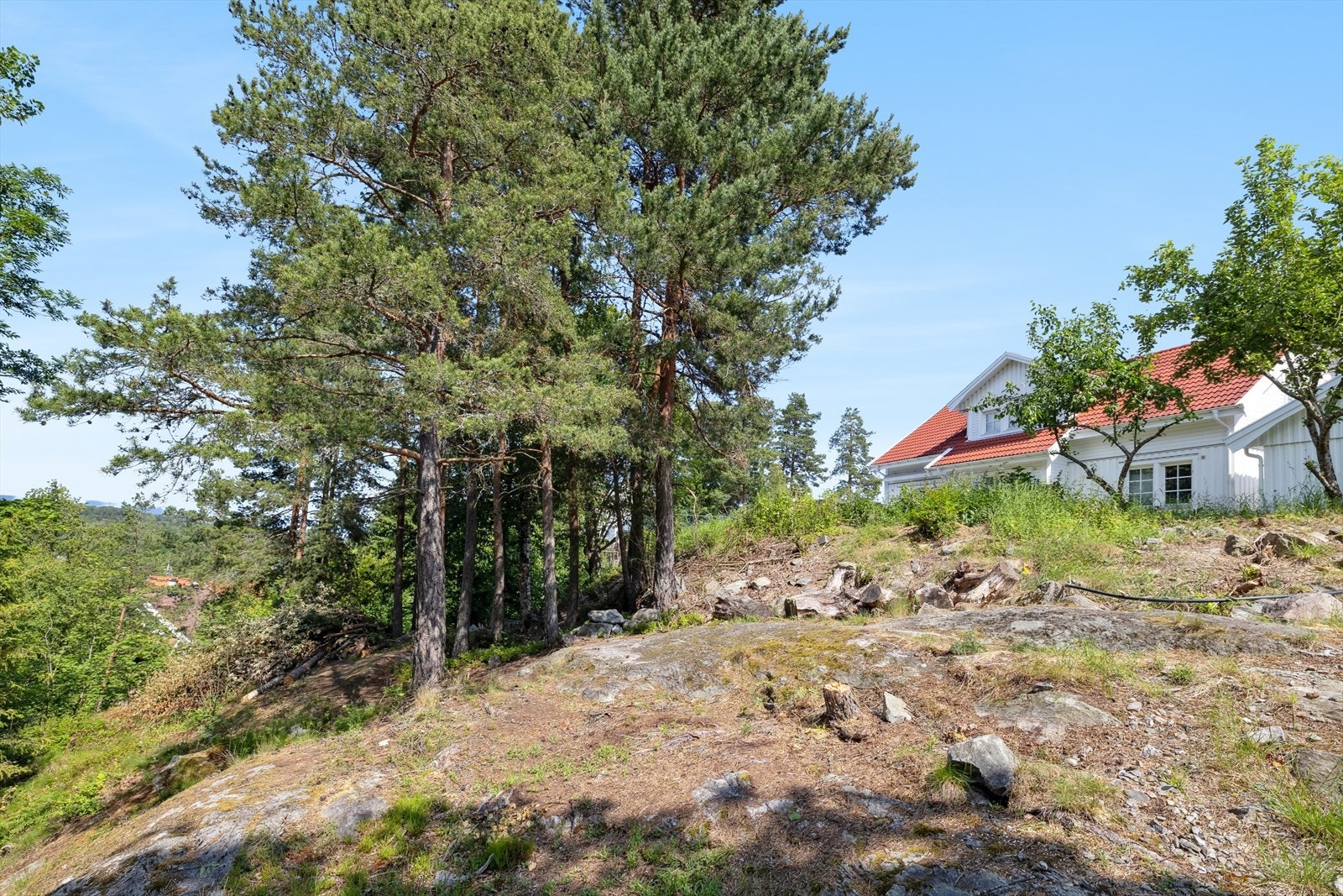 Terrenget er skånende og består for det meste av naturtomt og trær. Galleribilde
