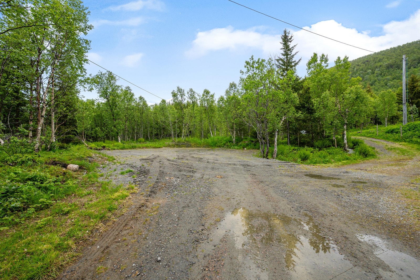 Felles parkeringsplass Galleribilde