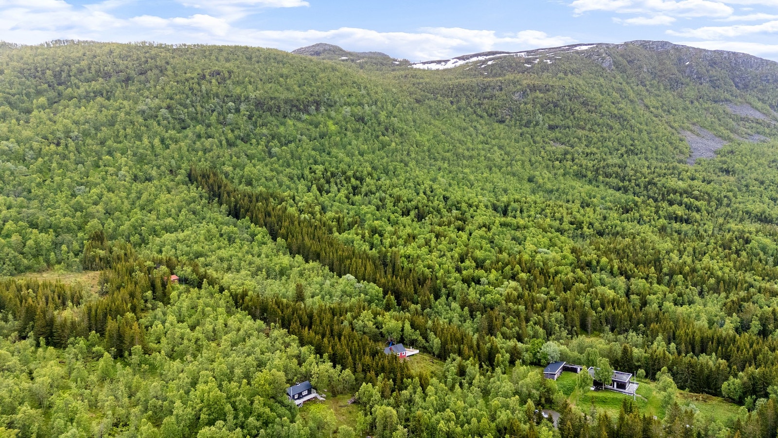 Dronebilde av nærområdet Galleribilde