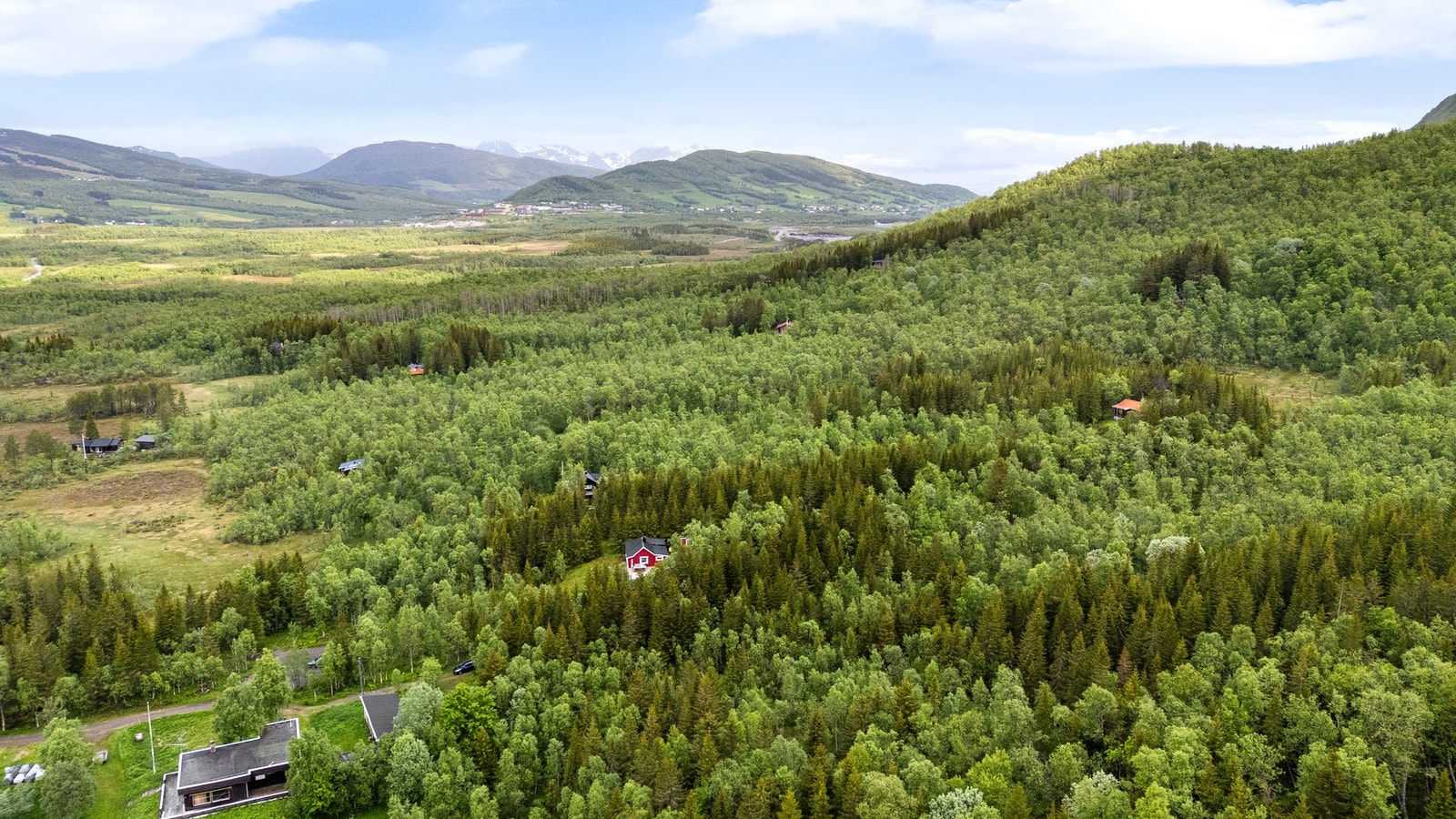 Dronebilde av nærområdet Galleribilde