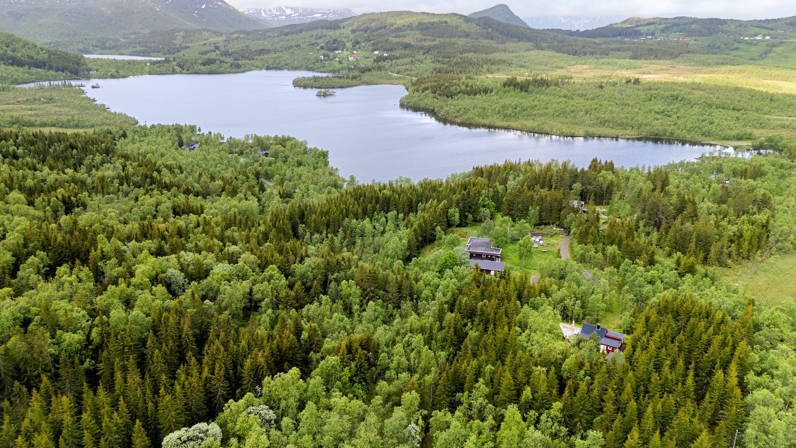 Dronebilde av nærområdet Galleribilde