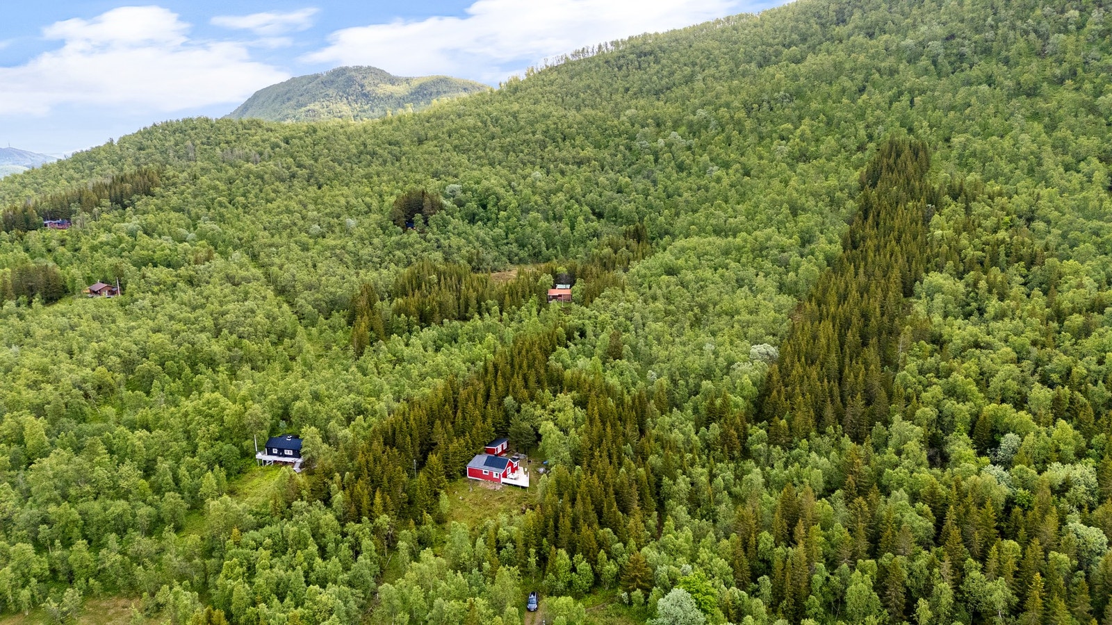 Dronebilde av nærområdet Galleribilde