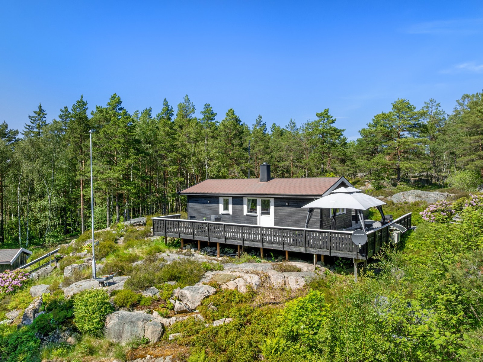 Det er et rikt dyre- og fugleliv i området, samt terreng for sopp og bær plukking. Galleribilde