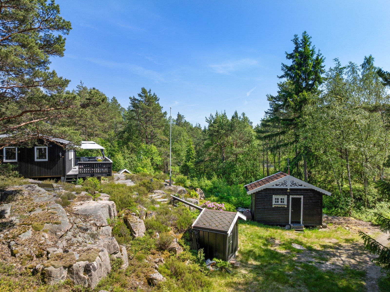Rett utenfor hyttedøren er det flotte turmuligheter i lett og åpent skogsterreng. Galleribilde