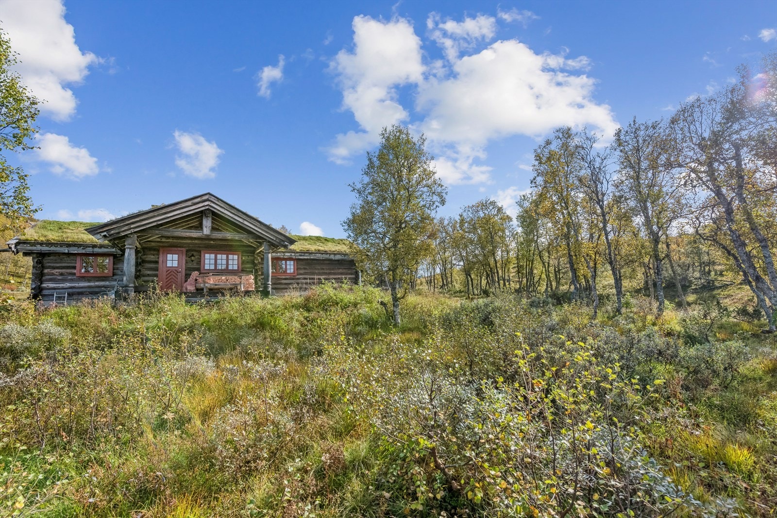 Her har en flott naturlandskap og uendelige muligheter rett utenfor døra, både sommer som vinter. Galleribilde