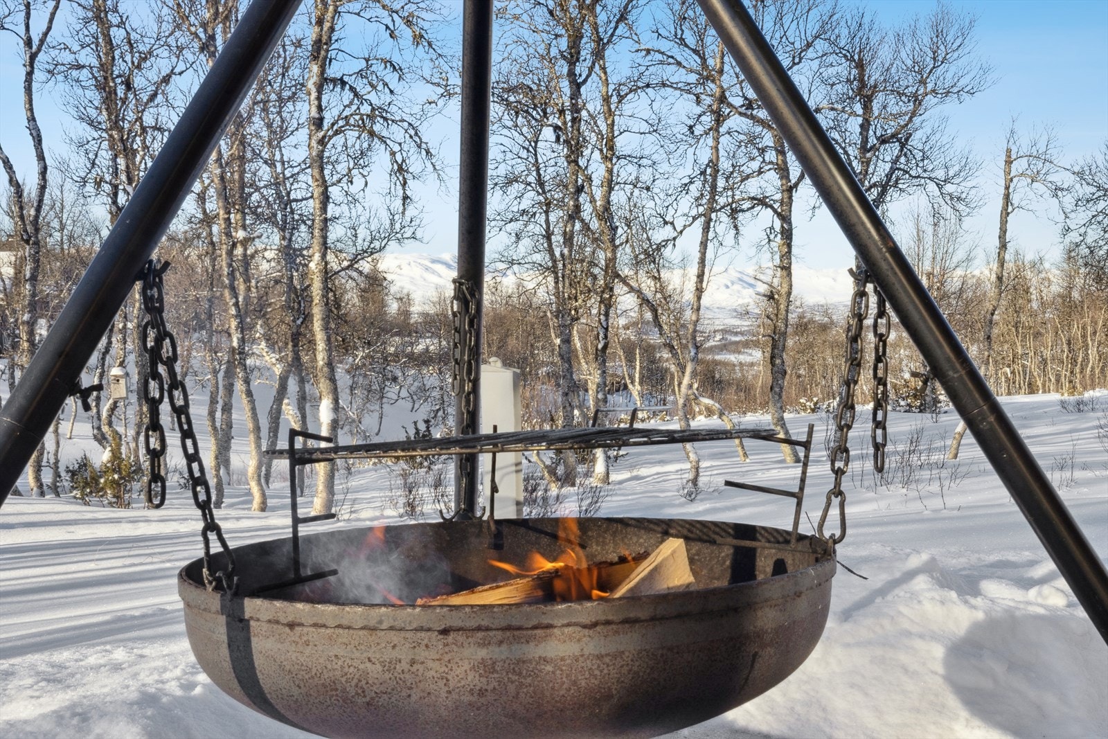 Nyt stillhet og fred med naturen som nærmeste nabo Galleribilde