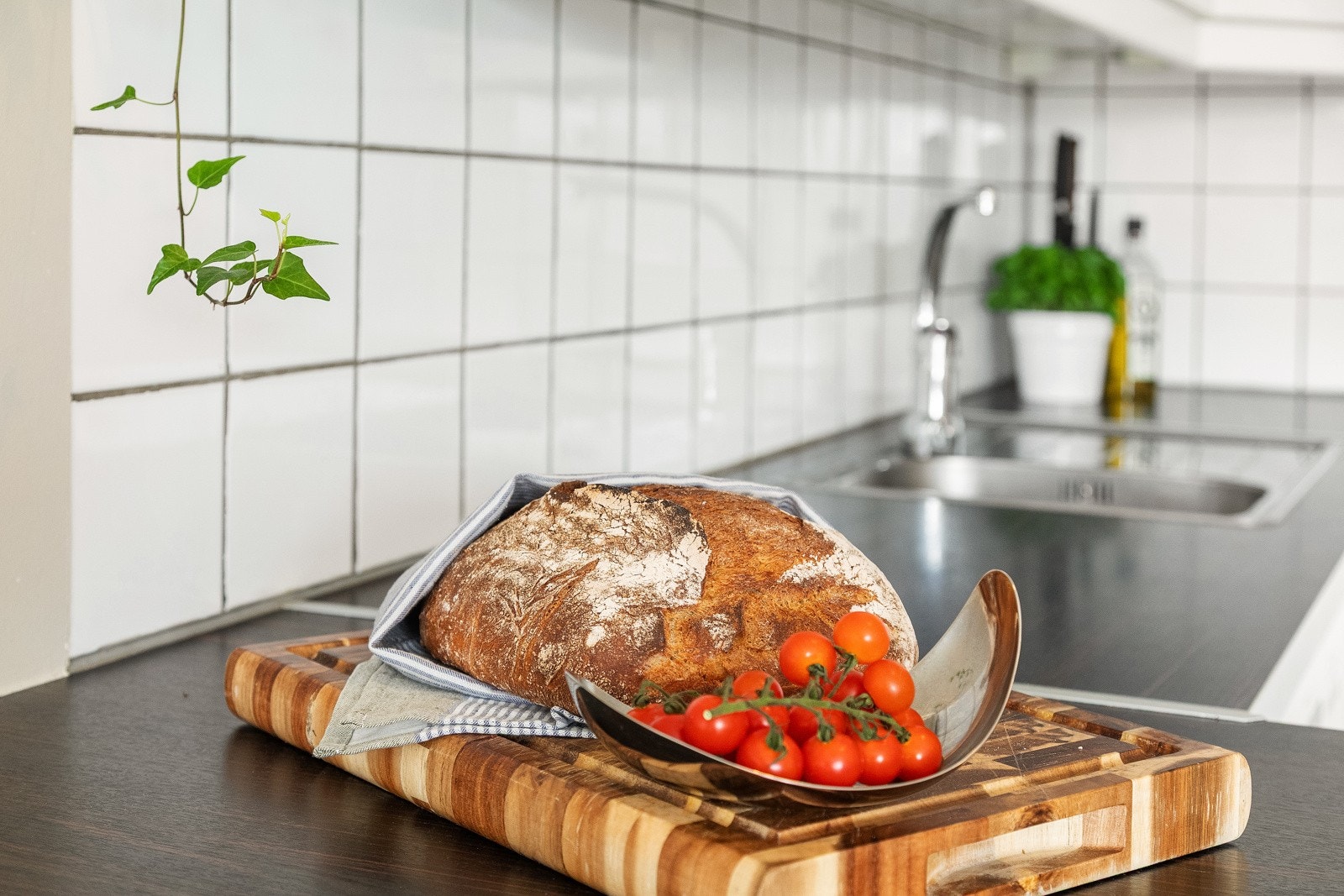 LPS_4813 Galleribilde