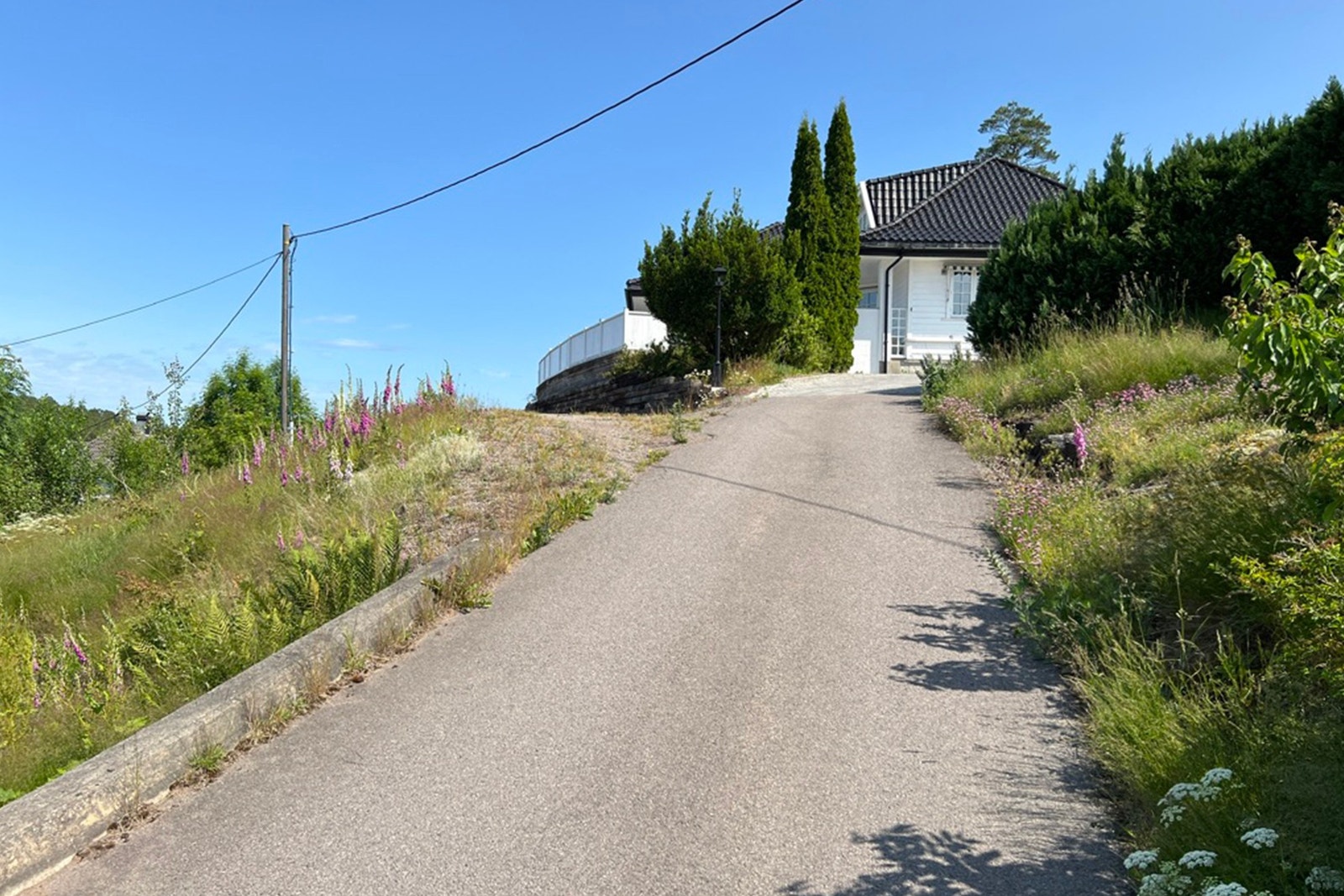 Adkomst Galleribilde