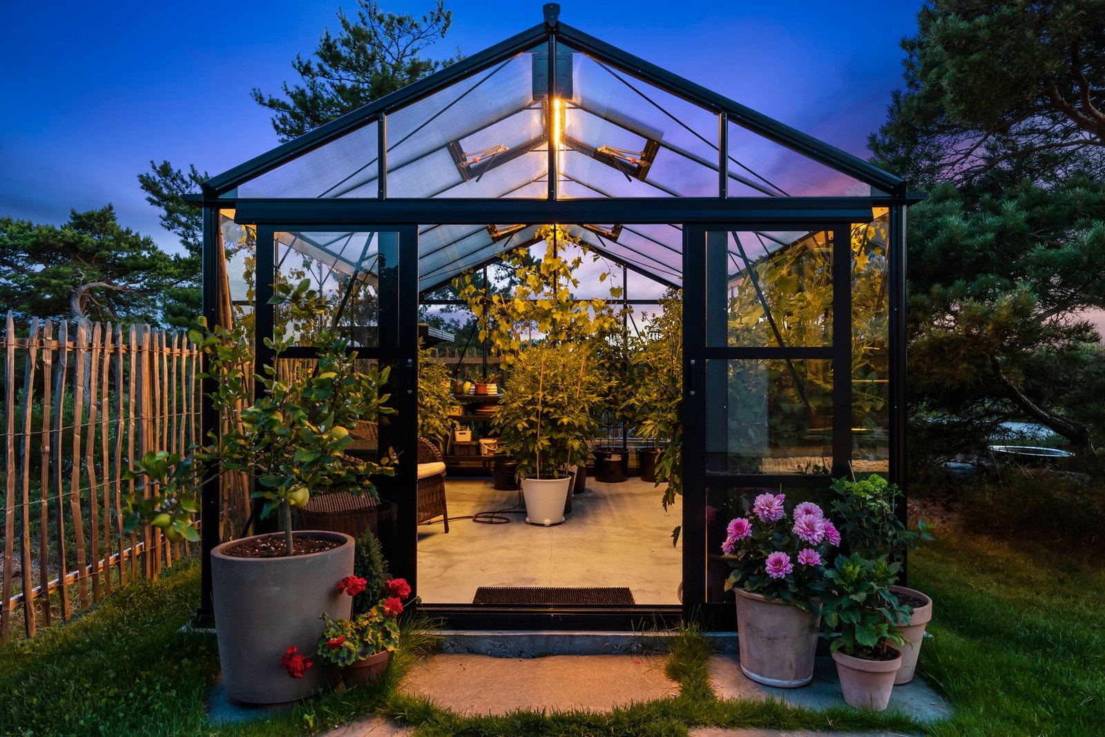 En lun oase på vindfulle dager Galleribilde