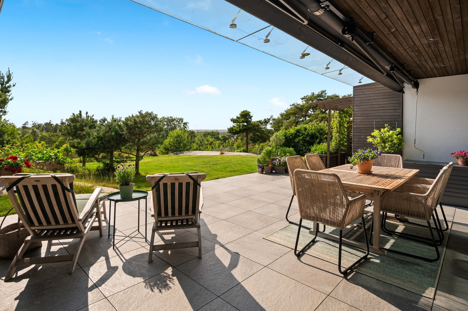 Meglet solrik tomt Galleribilde