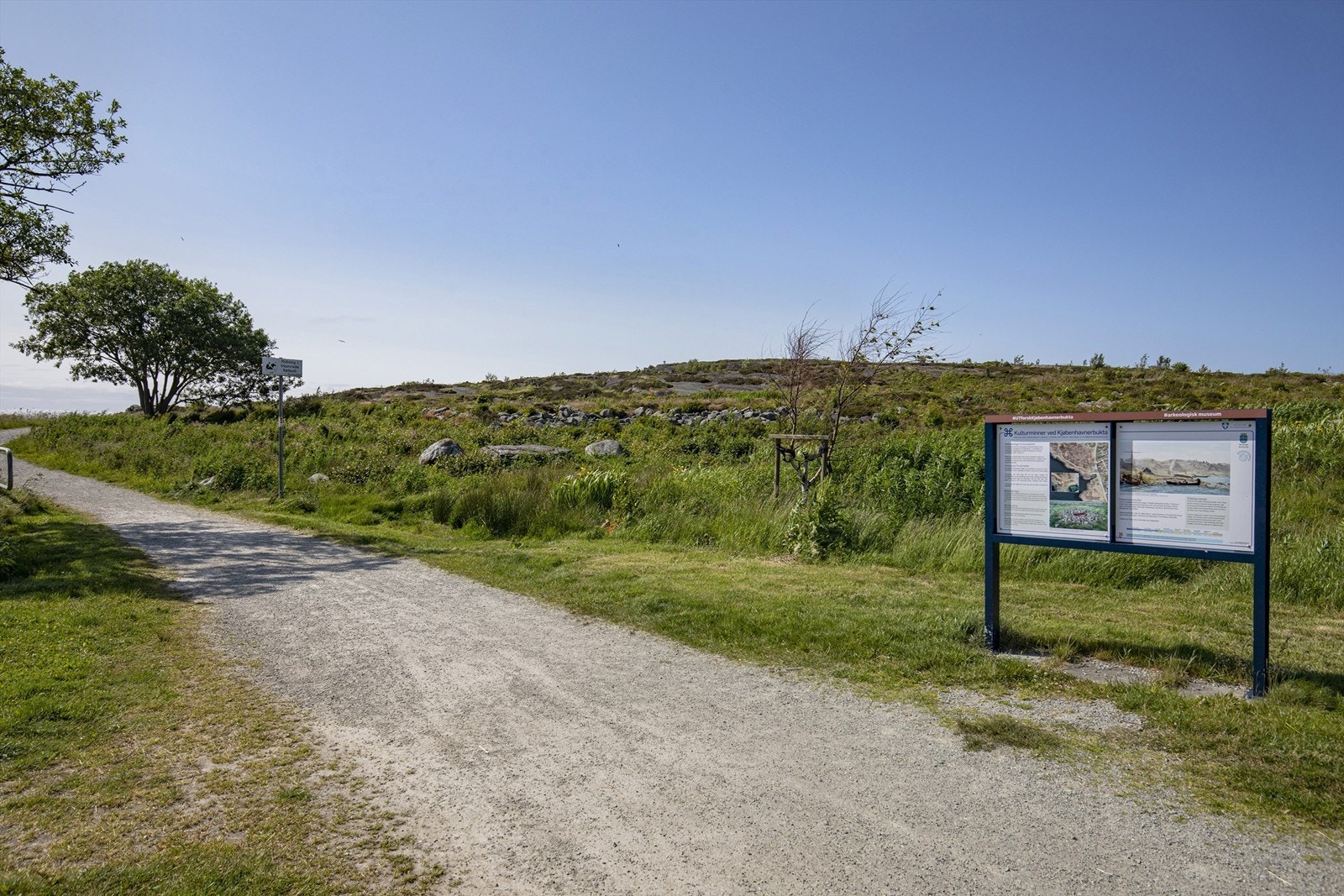 Nærområdet Galleribilde